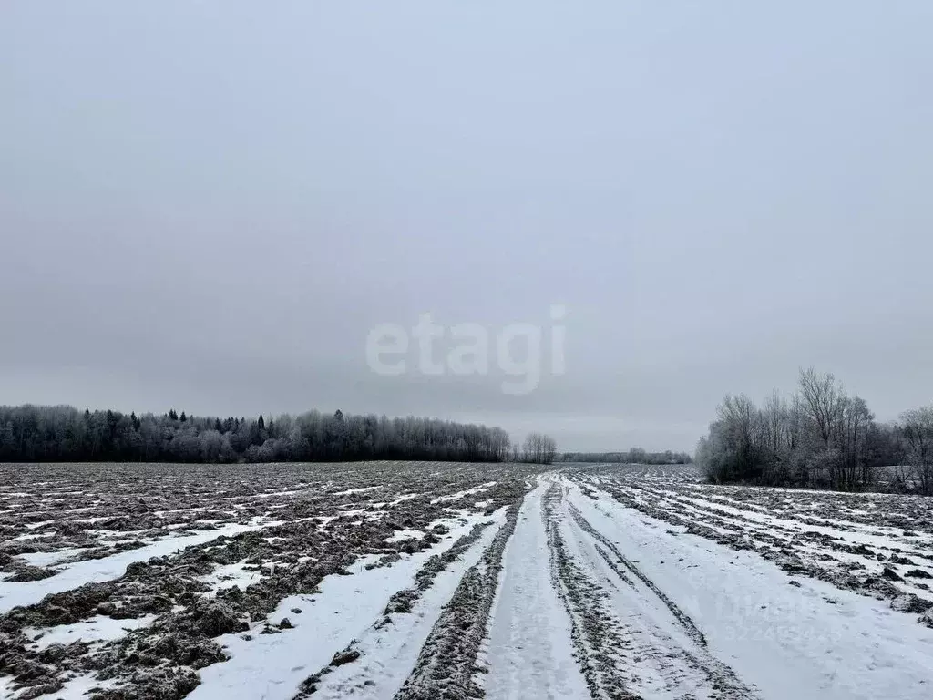 Участок в Вологодская область, Грязовецкий муниципальный округ, д. ... - Фото 1