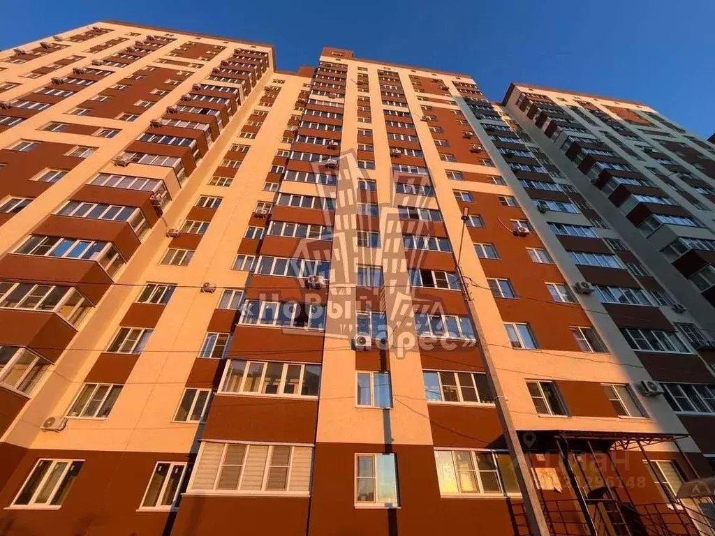 3-к кв. Воронежская область, Воронеж ул. Историка Костомарова, 46/2 ... - Фото 2