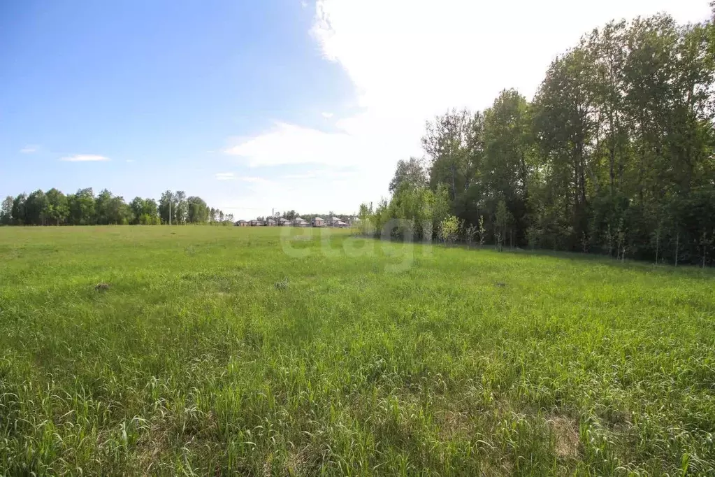 Участок в Алтайский край, Первомайский район, с. Фирсово, Полесье мкр  ... - Фото 1