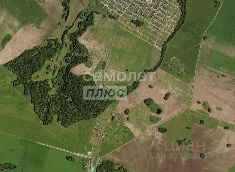 Участок в Тюменская область, Тюменский район, Кулаковское ... - Фото 1