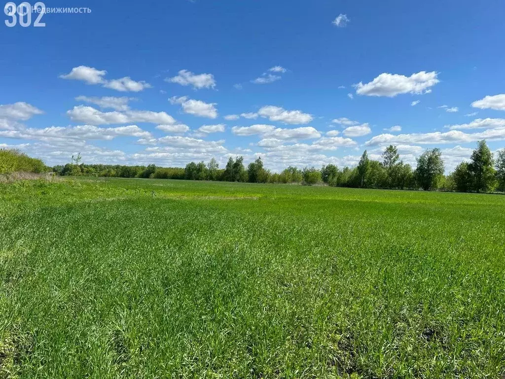 Участок в Орловский муниципальный округ, село Сабурово (1350.84 м) - Фото 2