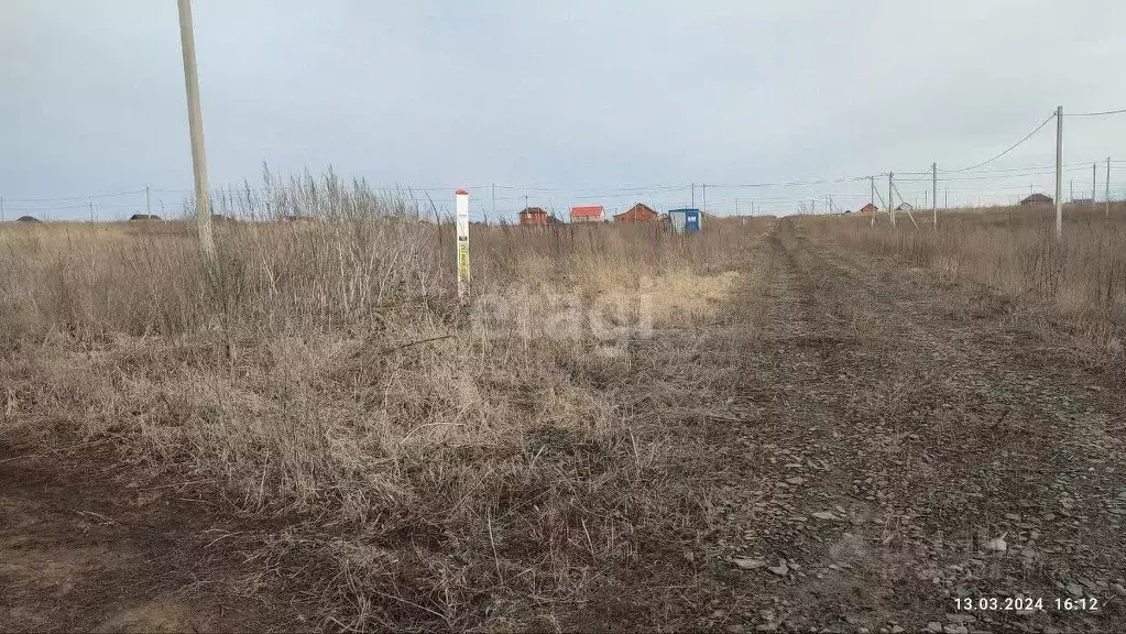 Участок в Белгородская область, Новый Оскол ул. Виноградная (15.0 ... - Фото 1