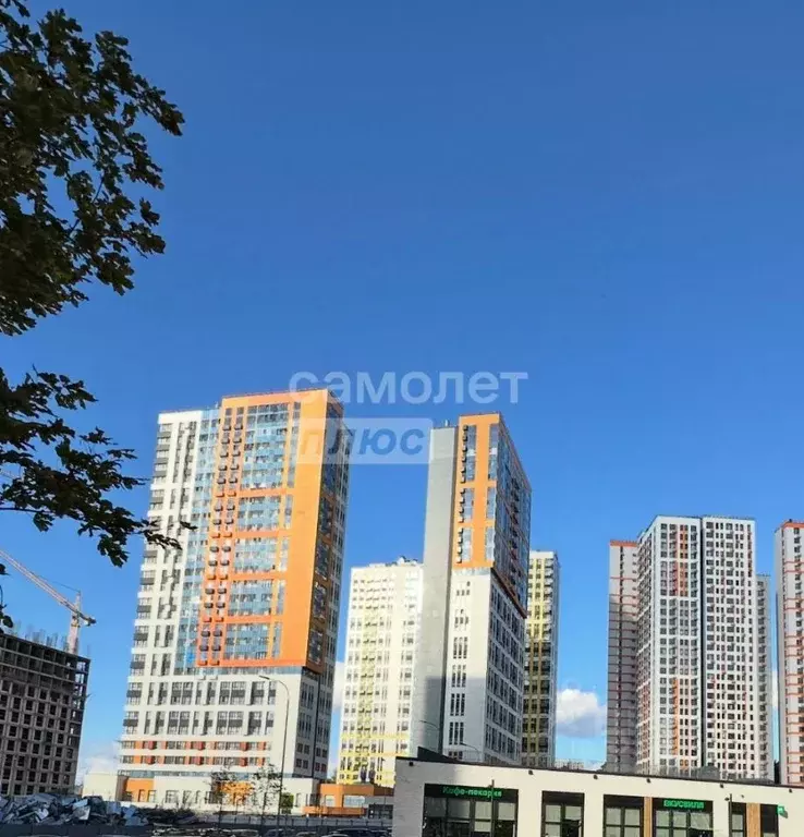 3-к кв. Московская область, Красногорск ул. Тенистых Аллей, 3к1 (78.8 ... - Фото 1