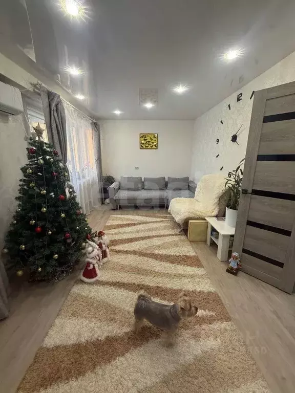 3-к кв. Амурская область, Сковородино ул. Василевского, 1 (64.4 м) - Фото 2