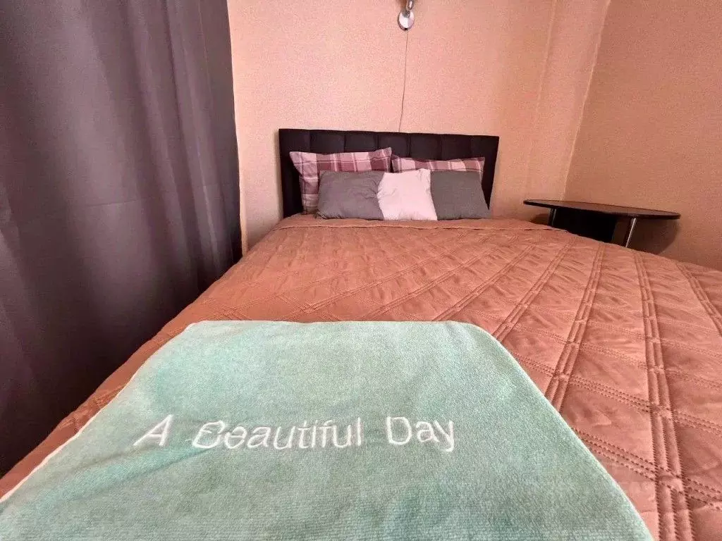 1-к кв. Тюменская область, Тюмень ул. 50 лет ВЛКСМ, 13к1 (43.0 м) - Фото 1