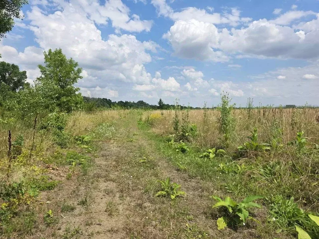 Участок в Краснодарский край, Северский район, Ильское городское ... - Фото 1