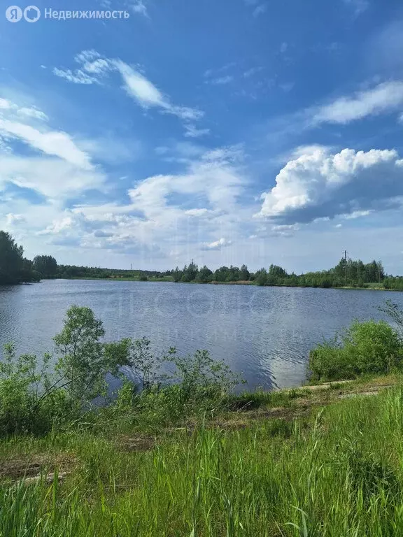 Участок в Сергиево-Посадский городской округ, садовое товарищество ... - Фото 0