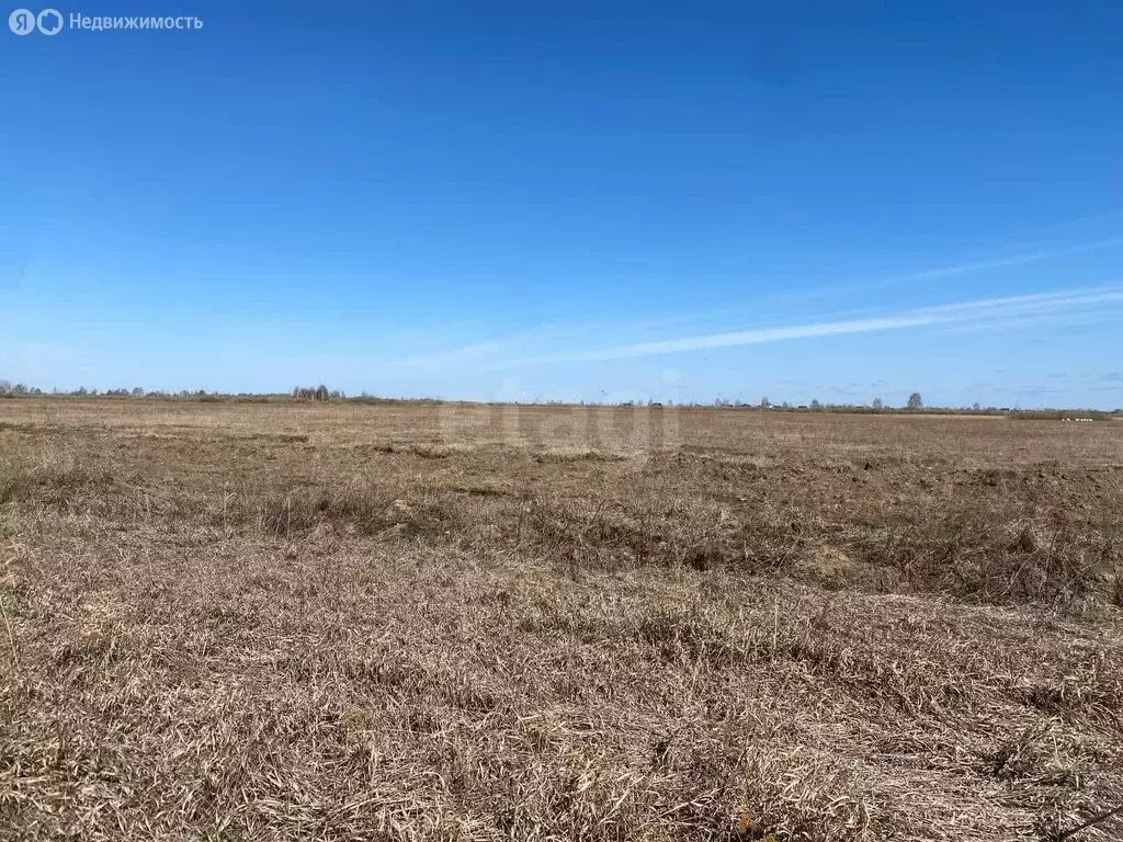 Участок в Тюмень, ТОО Ембаевское (5.78 м) - Фото 1