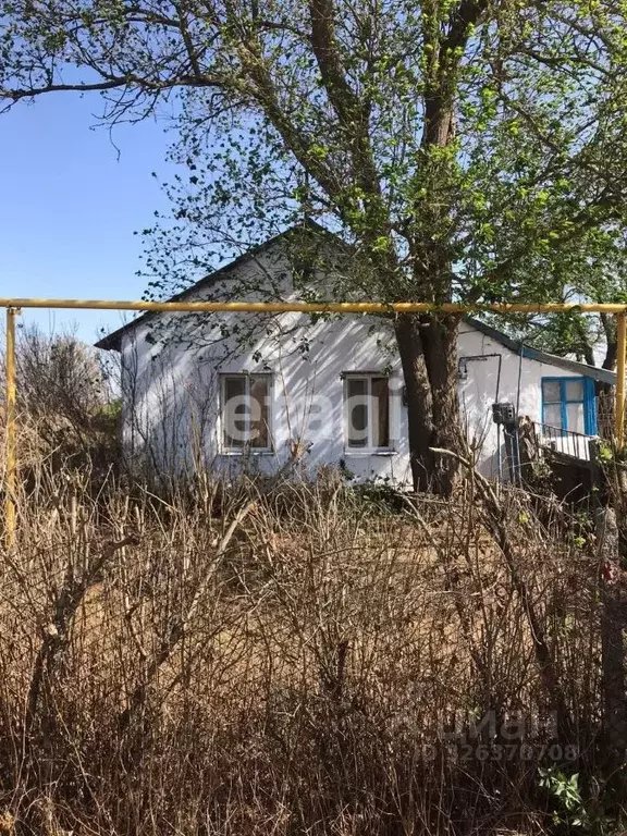 Дом в Крым, Раздольненский район, Березовское с/пос, с. Нива ул. ... - Фото 1