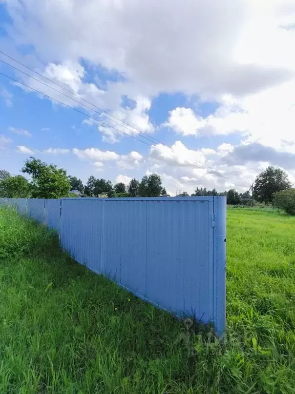 Участок в Новгородская область, Новгородский район, Савинское с/пос, ... - Фото 1