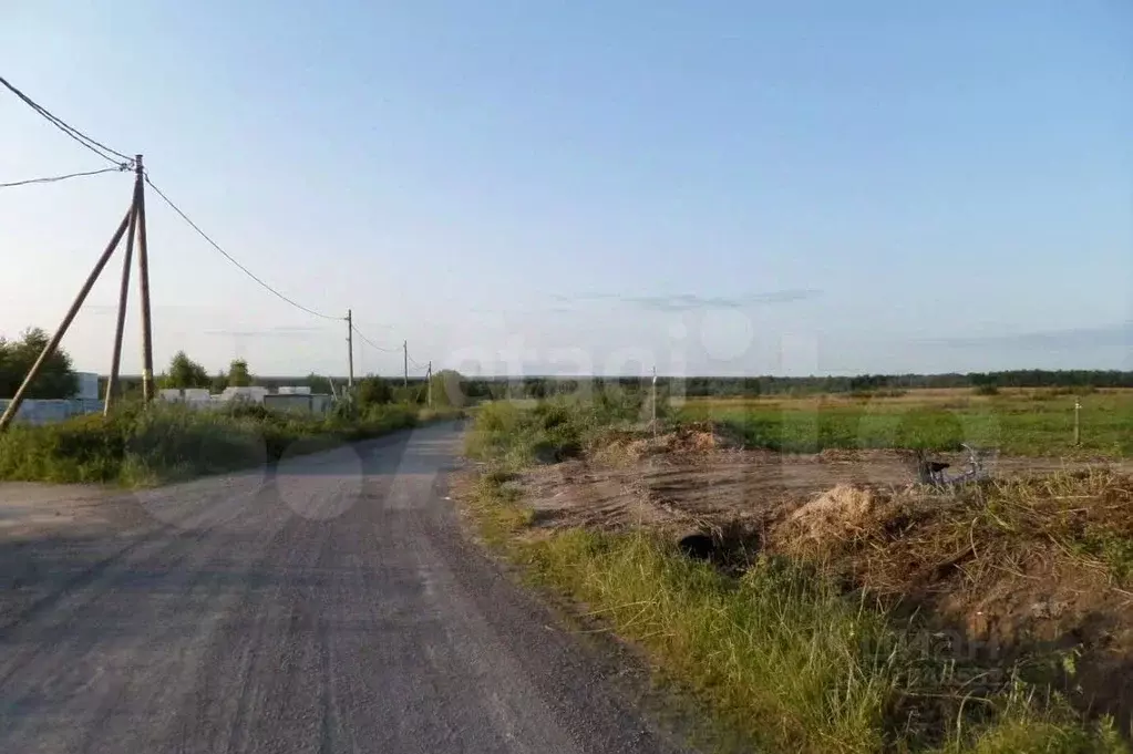 Участок в Вологодская область, Череповецкий район, Ирдоматское с/пос  ... - Фото 1