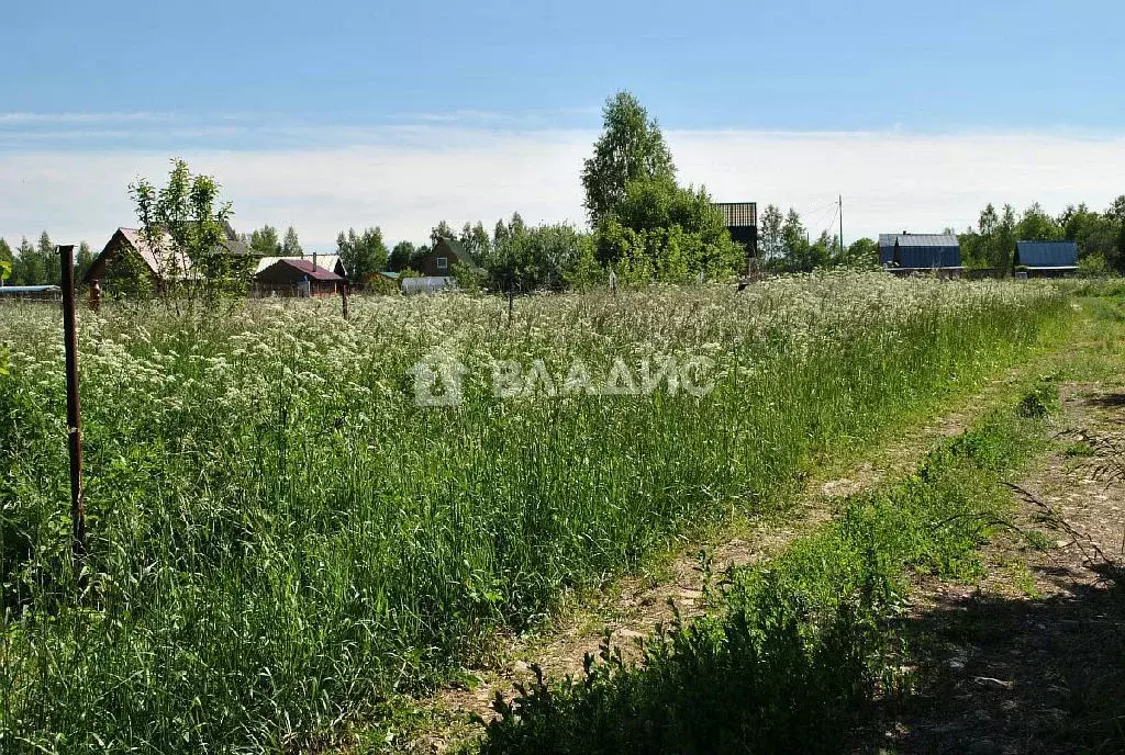 Продается участок в д. Малышево - Фото 1