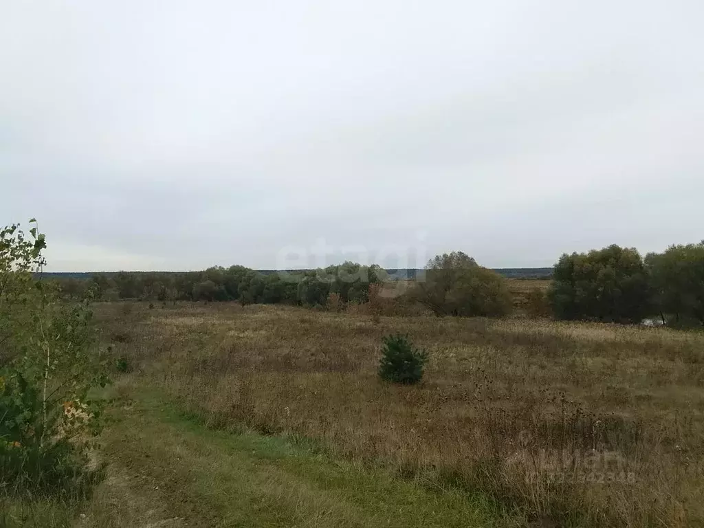 Участок в Калужская область, Дзержинский район, Дворцы с/пос, д. ... - Фото 1