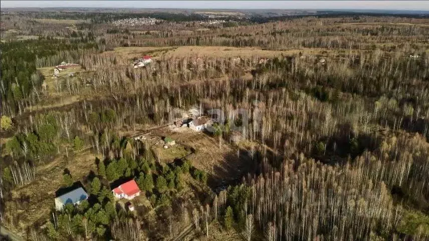 Участок в Томская область, Томск пос. Родионово, ул. Маршала Жукова ... - Фото 1