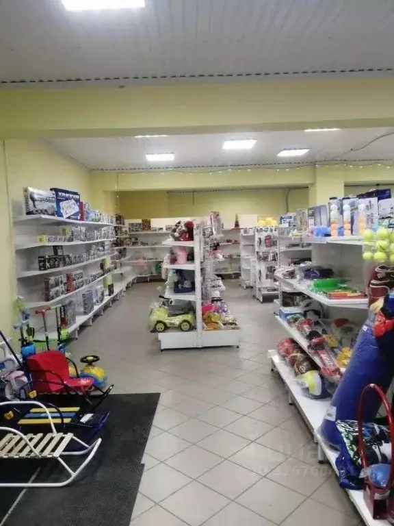 Помещение свободного назначения в Башкортостан, с. Бураево ул. ... - Фото 1