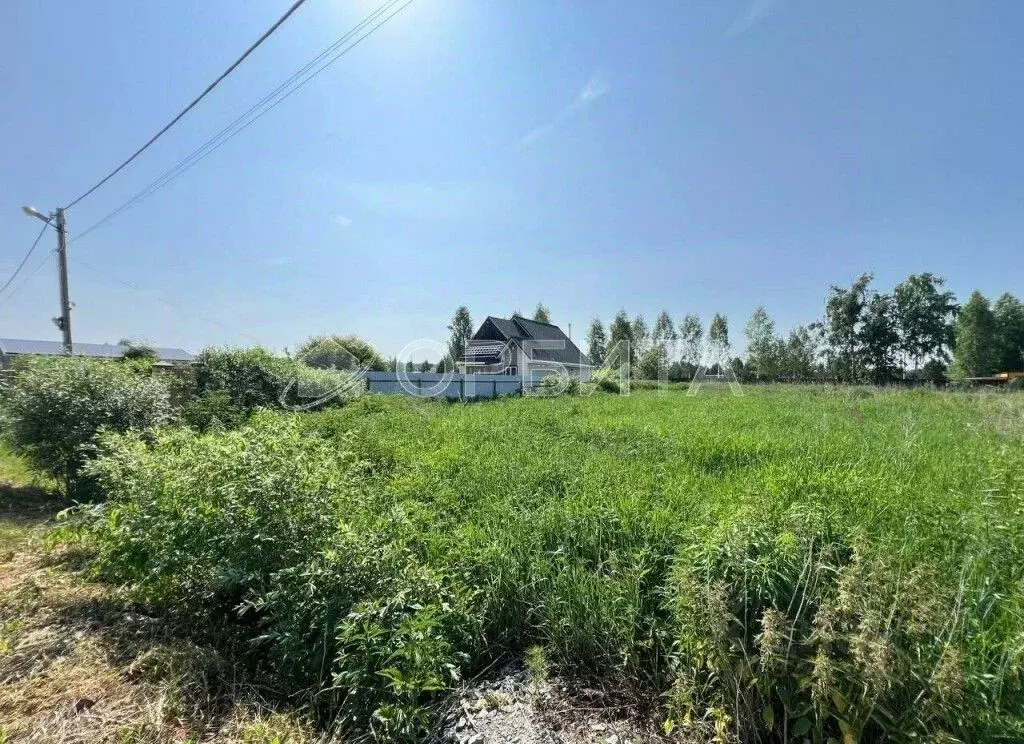 Участок в Тюменская область, Тюмень СОСН Березка-3 тер., ул. 15-я ... - Фото 1