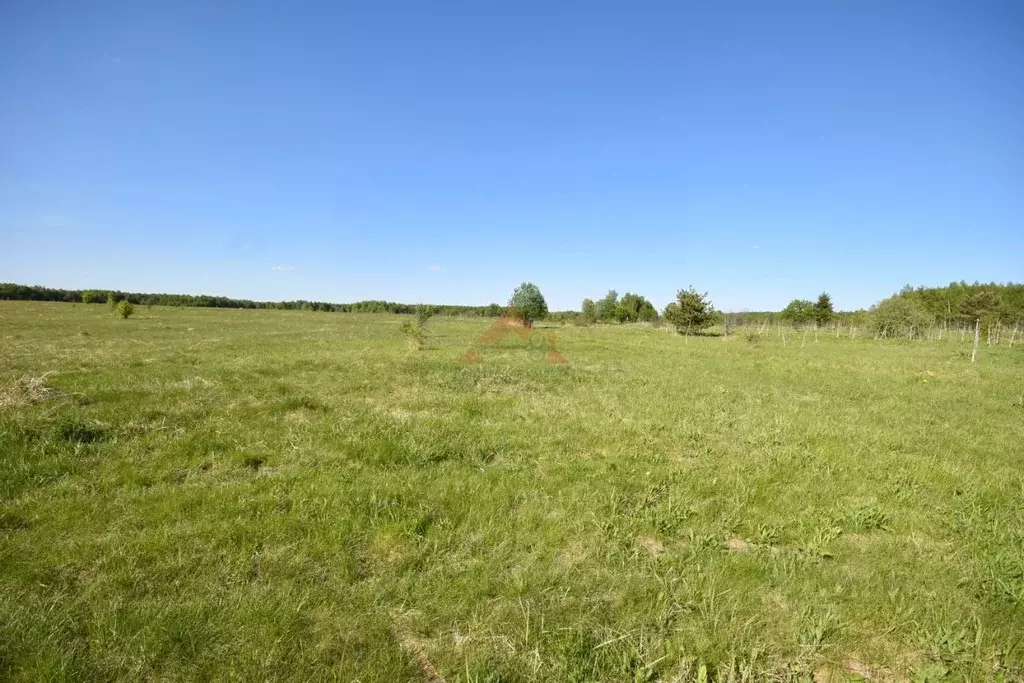 Участок в Владимирская область, Кольчугинский район, Раздольевское ... - Фото 1