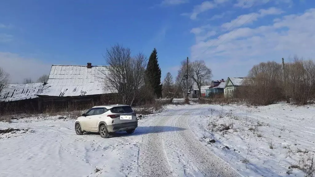 Участок в Владимирская область, Судогодский район, Муромцевское ... - Фото 1