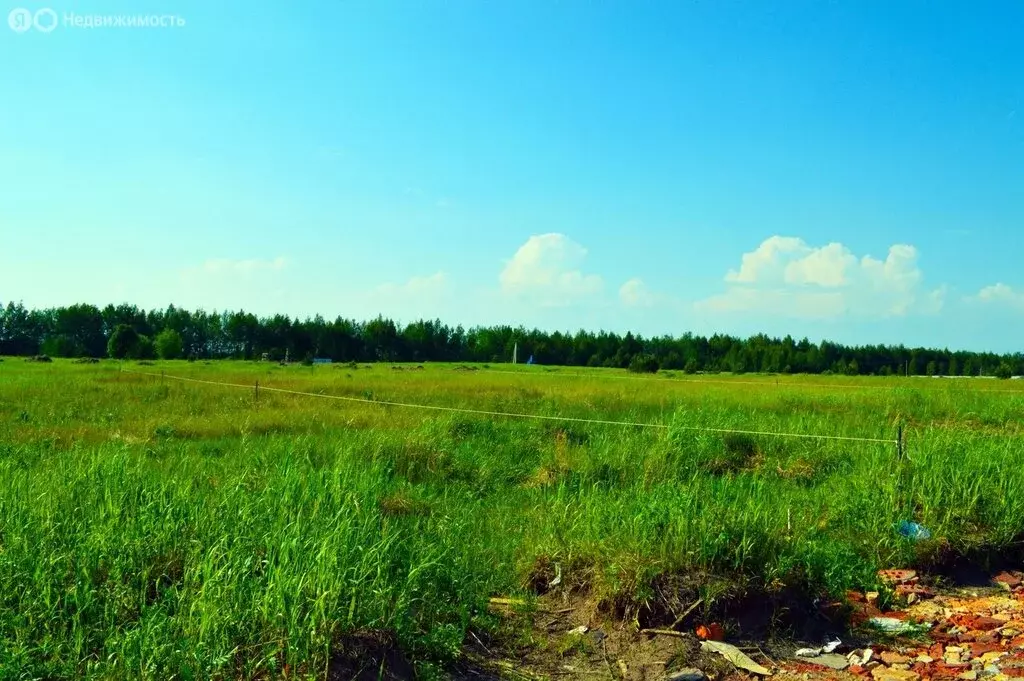 Участок в Сергиево-Посадский городской округ, коттеджный посёлок ... - Фото 2