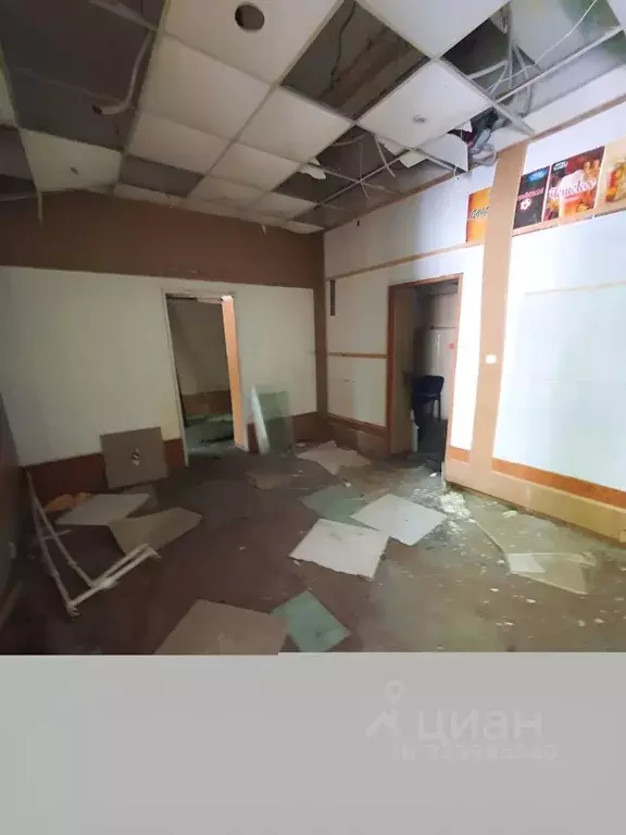 Помещение свободного назначения в Кемеровская область, Прокопьевск ул. ... - Фото 1