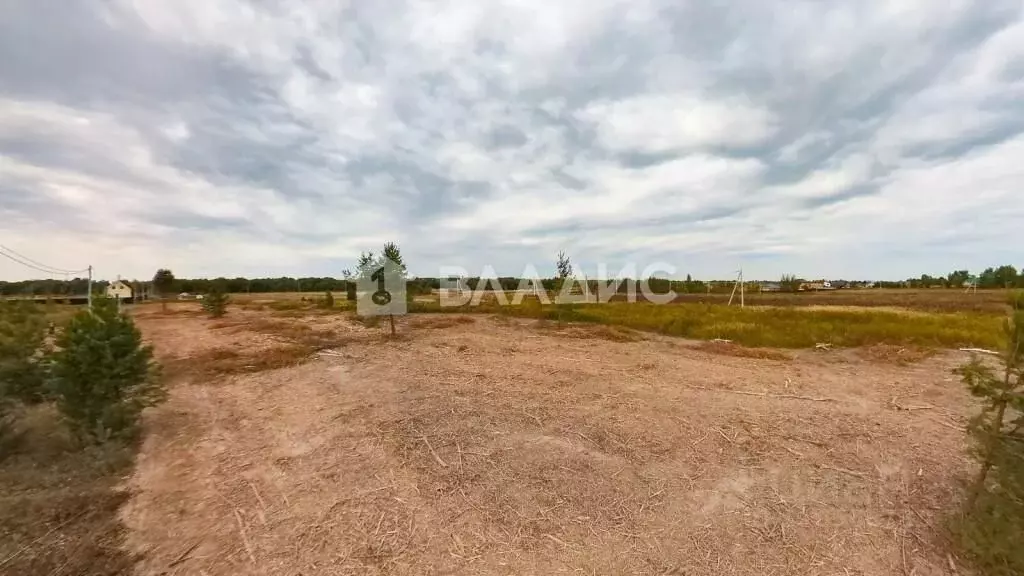 Участок в Владимирская область, Суздальский район, Боголюбовское ... - Фото 0