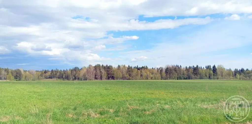 Участок в Ленинградская область, Выборгский район, Красносельское ... - Фото 1