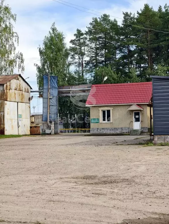 Помещение свободного назначения в Пермский край, Чайковский Советская ... - Фото 2