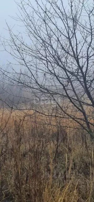 Участок в Белгородская область, Белгородский район, Беломестненское ... - Фото 0