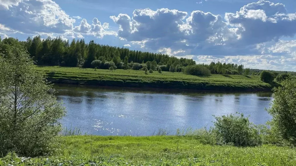 Участок в Новгородская область, Маловишерский район, Бургинское с/пос, ... - Фото 1