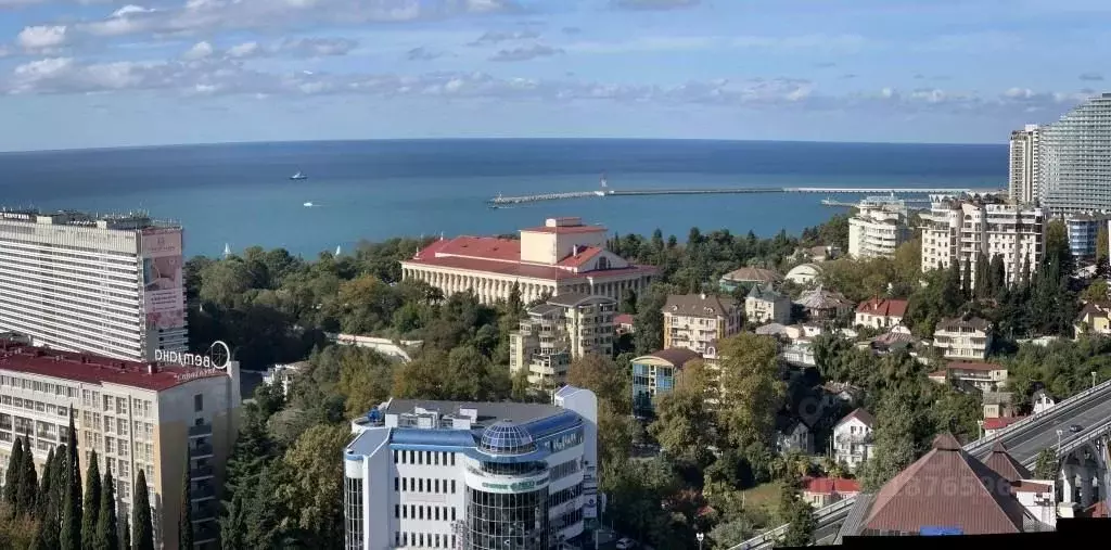 1-к кв. Краснодарский край, Сочи Курортный просп., 75к1 (33.0 м) - Фото 2