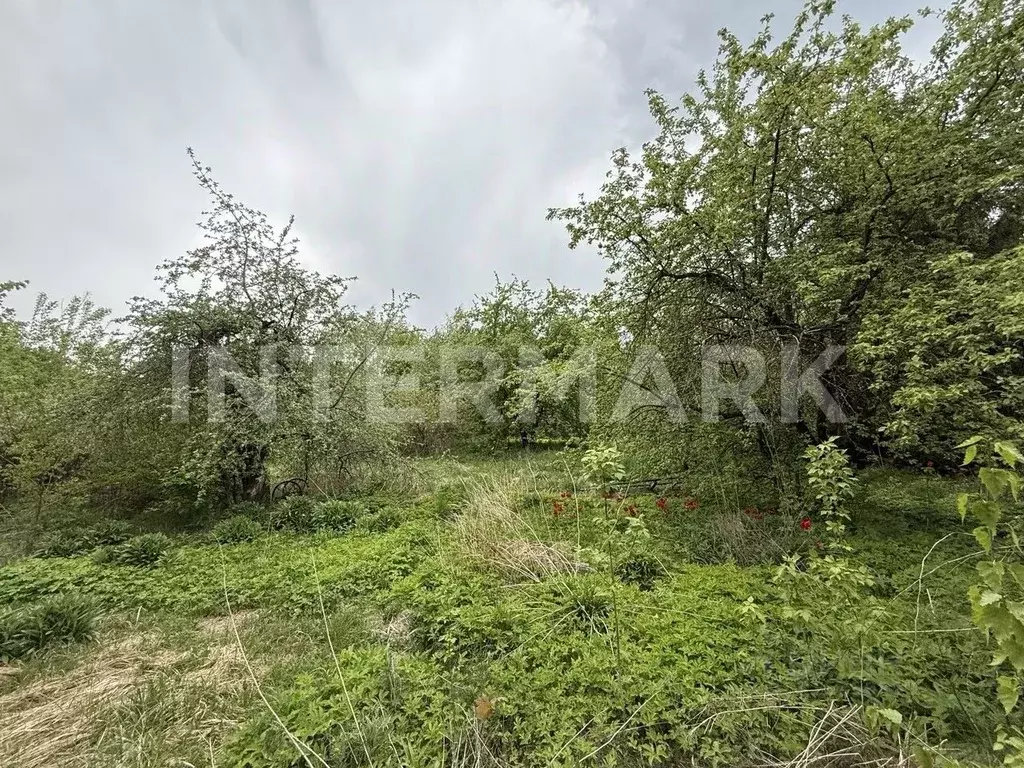 Участок в Московская область, Одинцовский городской округ, д. ... - Фото 1