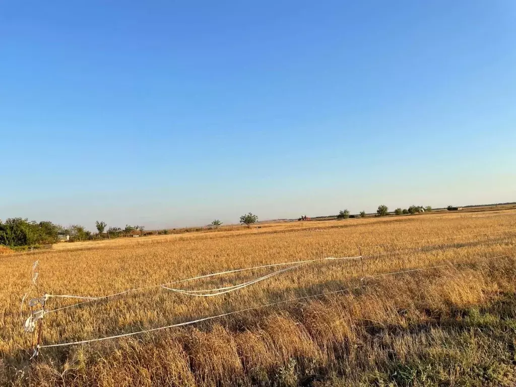 Участок в Краснодарский край, Ейский район, с. Кухаривка ... - Фото 0