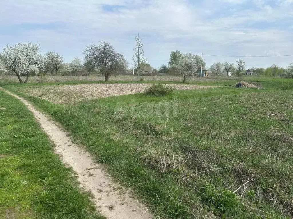 Участок в Брянская область, Брянский район, Снежское с/пос, с. ... - Фото 2