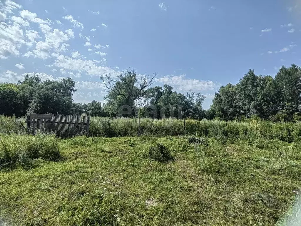 Участок в Башкортостан, Стерлитамакский район, Октябрьский сельсовет, ... - Фото 2
