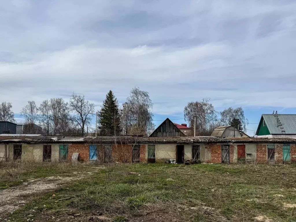 Помещение свободного назначения в Орловская область, Кромы пгт ул. К. ... - Фото 0