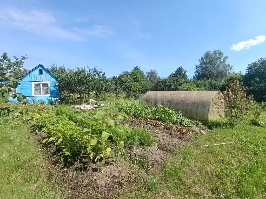 Дом в Смоленская область, Смоленск Текстильщик-3 садоводческое ... - Фото 1