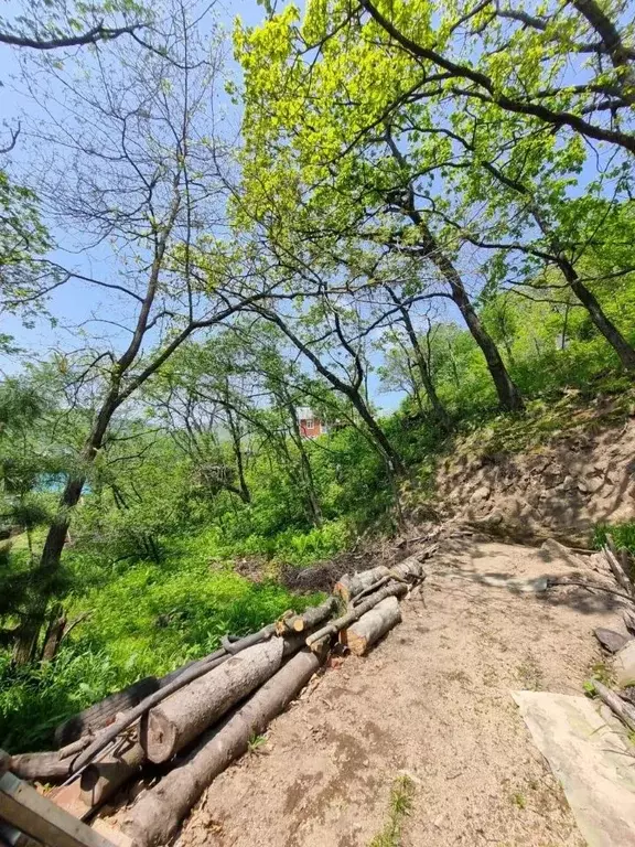 Участок в Приморский край, Находка Строитель СНТ, ул. Садовая, 6 (25.0 ... - Фото 2