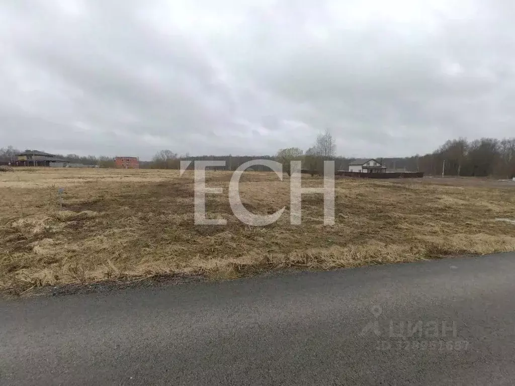Участок в Тульская область, Тула городской округ, с. Зайцево ул. ... - Фото 2