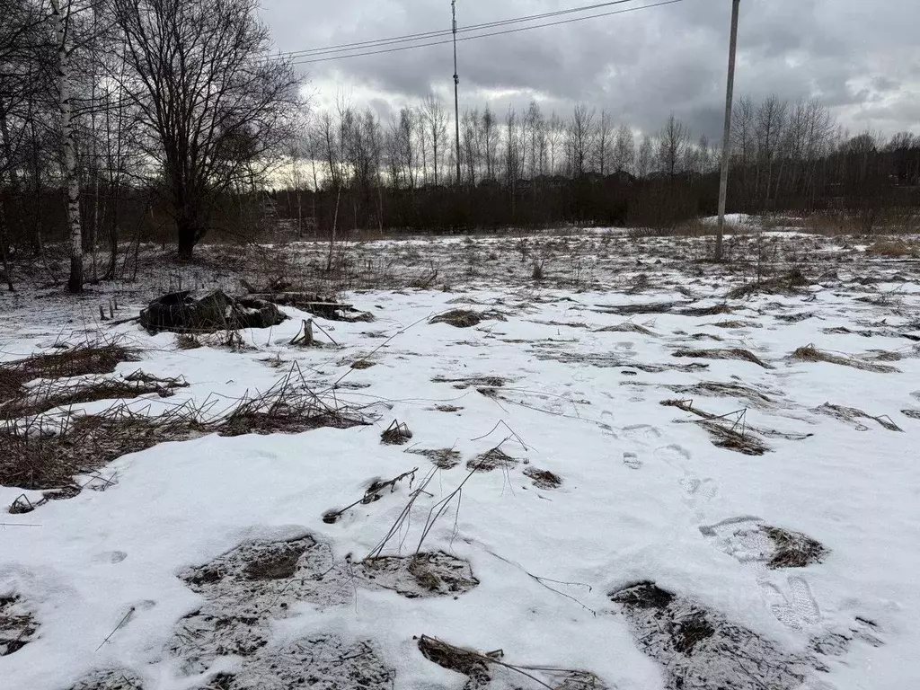 Участок в Московская область, Пушкинский городской округ, д. Цернское  ... - Фото 0