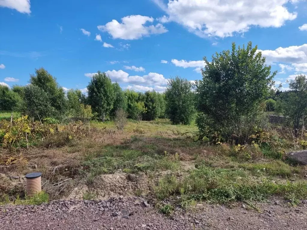 Участок в Ленинградская область, Ломоносовский район, Гостилицкое ... - Фото 2