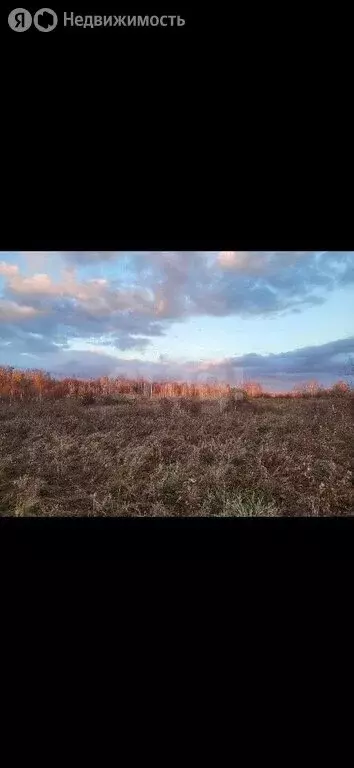 Участок в Тюменская область, Нижнетавдинский муниципальный округ, ... - Фото 2