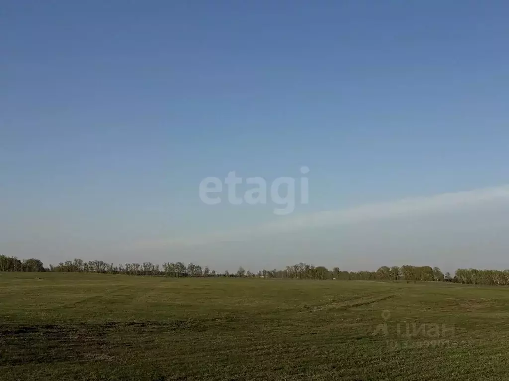 Участок в Алтайский край, Алтайский район, с. Булатово Центральная ул. ... - Фото 2