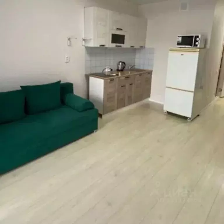 Студия Татарстан, Зеленодольск просп. Строителей, 34А (26.0 м) - Фото 2
