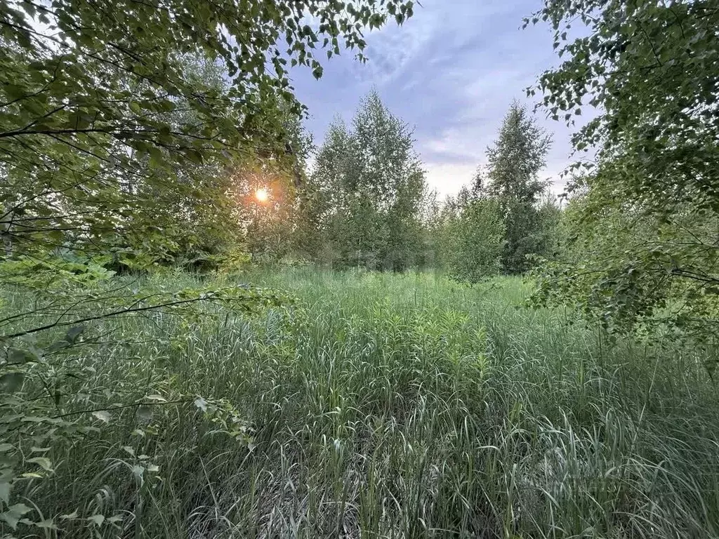 Участок в Марий Эл, Йошкар-Ола городской округ, д. Шоя-Кузнецово  ... - Фото 0