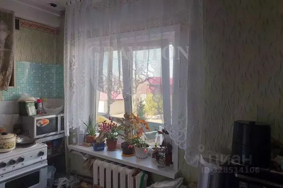 2-к кв. Алтай, Майминский район, с. Майма ул. Березовая роща, 11 (44.2 ... - Фото 1