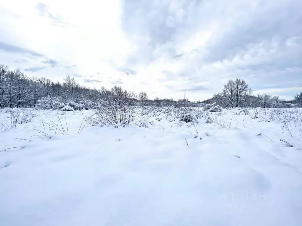 Участок в Камчатский край, Елизово Организатор-2 СНТ,  (6.0 сот.) - Фото 1