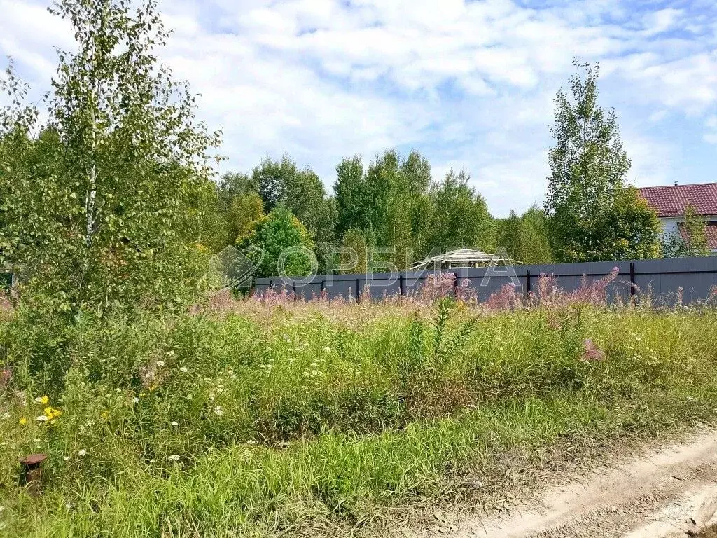 Участок в Тюменская область, Нижнетавдинский район, Сундукуль СНТ ул. ... - Фото 0