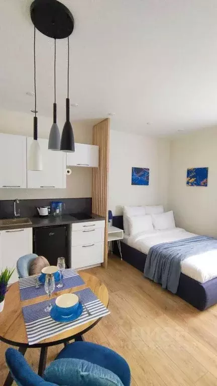 1-к кв. Московская область, Дмитров Луговая ул., 13 (17.0 м) - Фото 2