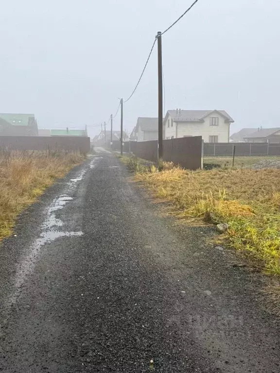 Участок в Новгородская область, Новгородский район, Савинское с/пос, ... - Фото 1