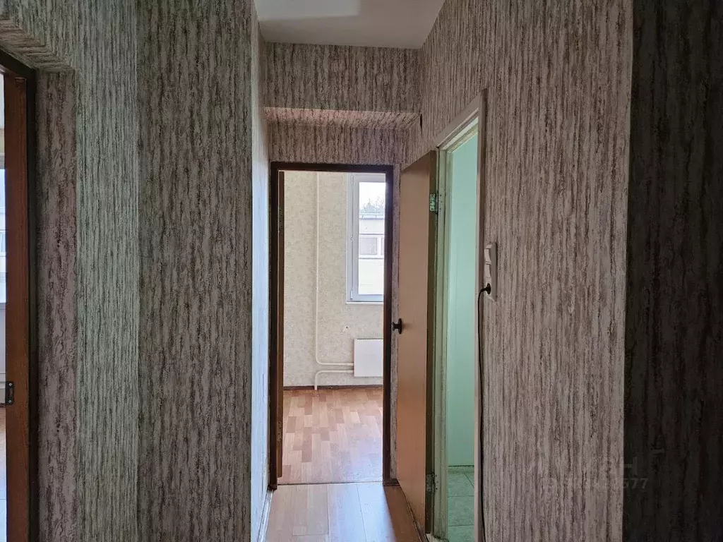 1-к кв. Московская область, Солнечногорск городской округ, Голубое пгт ... - Фото 1